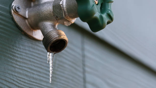 Best Plumbing Repair Near Me  in Marshfield, WI